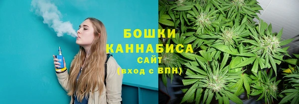 шишки Баксан