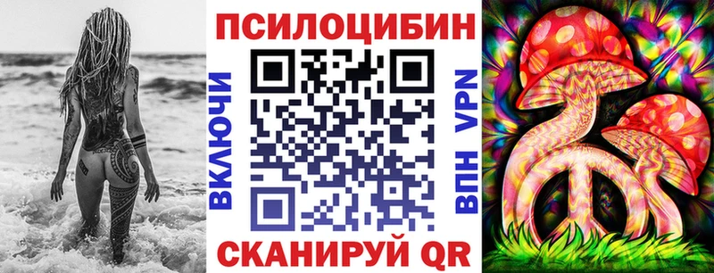 Псилоцибиновые грибы MAGIC MUSHROOMS  купить   Шацк 